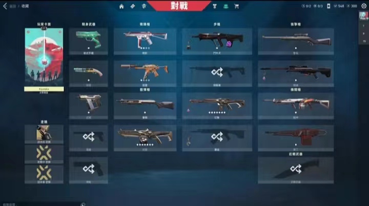 WA10405瓦罗兰特账号详情图8 WA10405瓦罗兰特账号详情图8