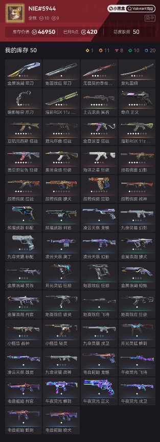 WA11017瓦罗兰特账号详情图1