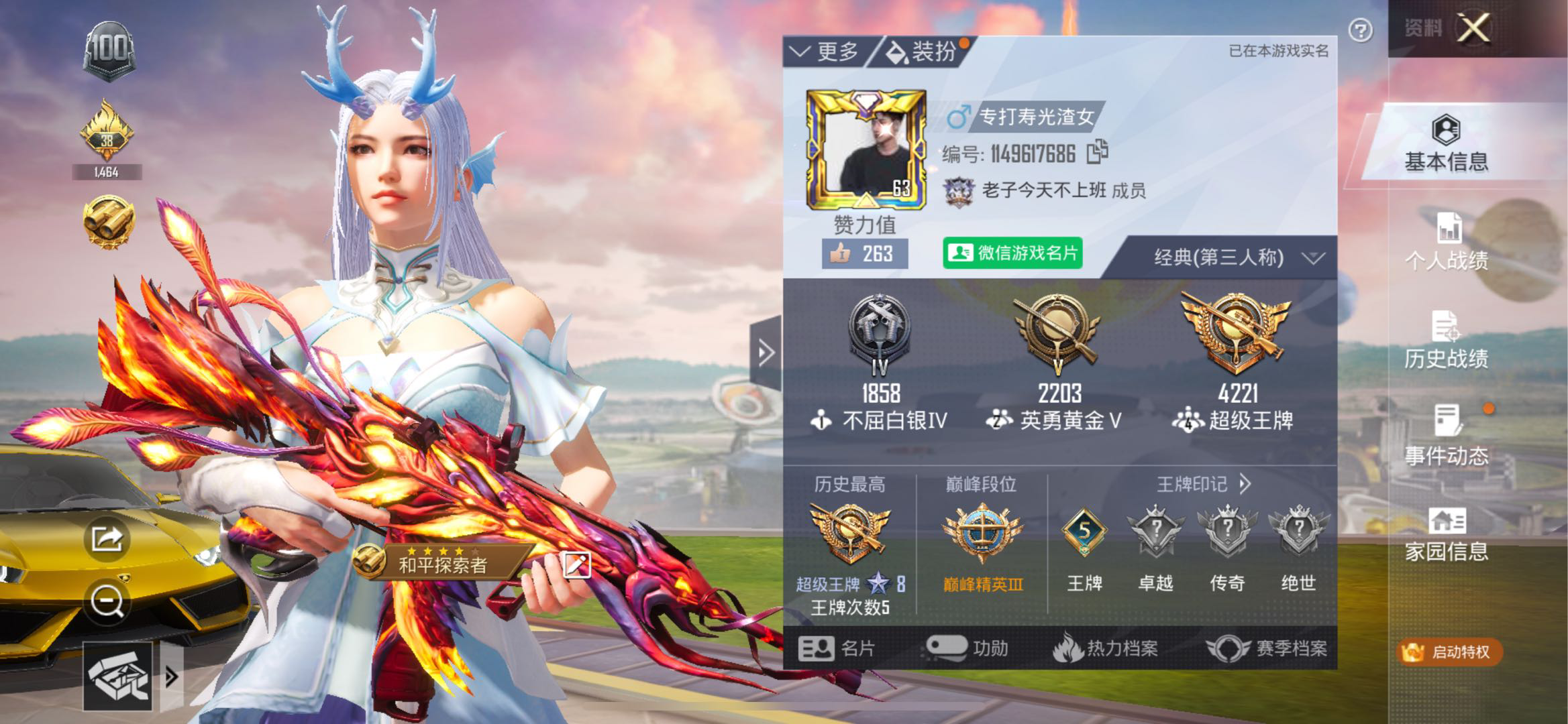 HP1142155和平精英账号详情图3