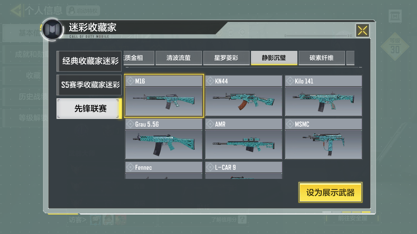 SM20173使命召唤手游账号详情图11