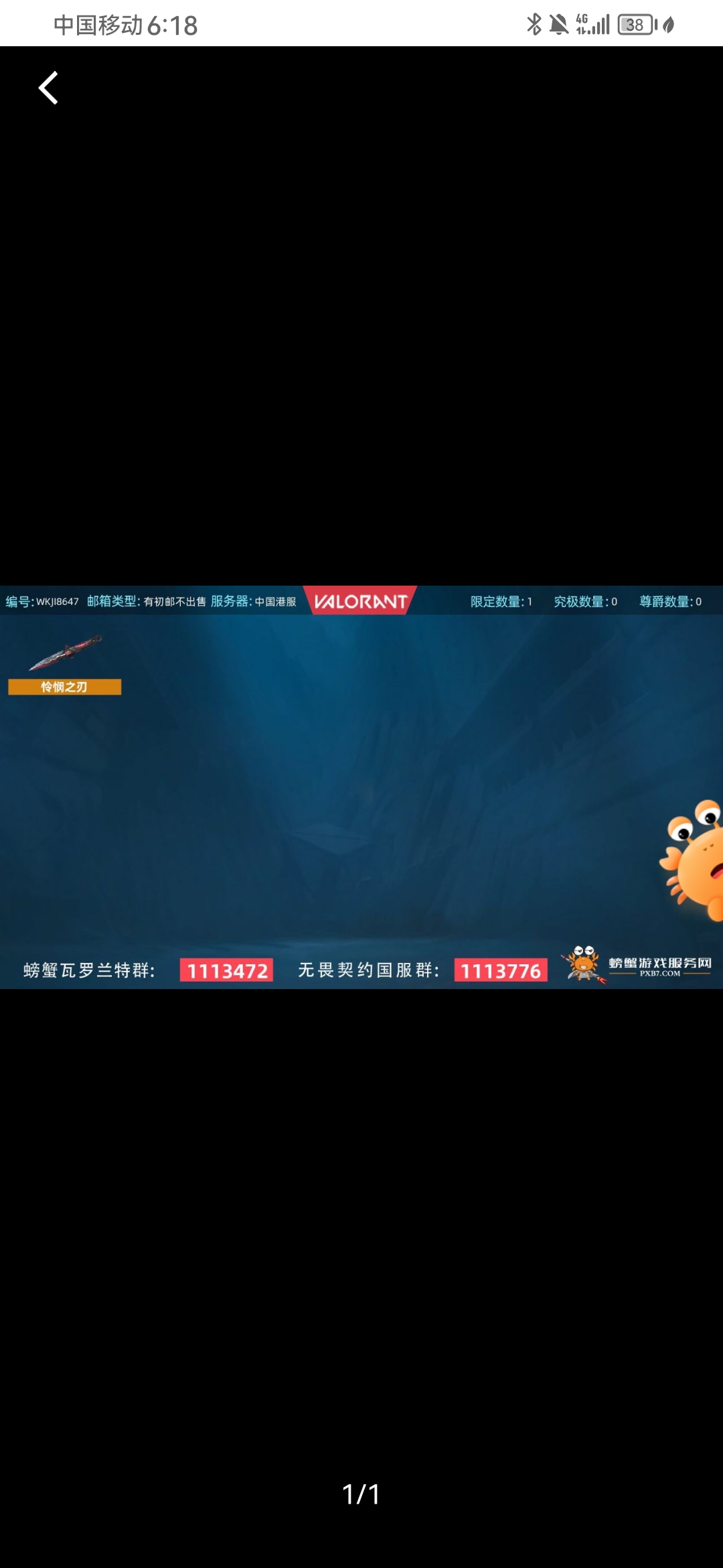 WA20239瓦罗兰特账号详情图1
