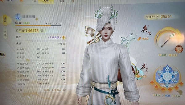 射雕账号官服官服53级  4.6w面板   金棍子  8红侠士 具体详细请看图