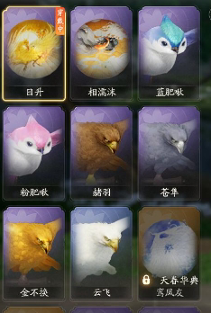 SD21205射雕账号详情图7
