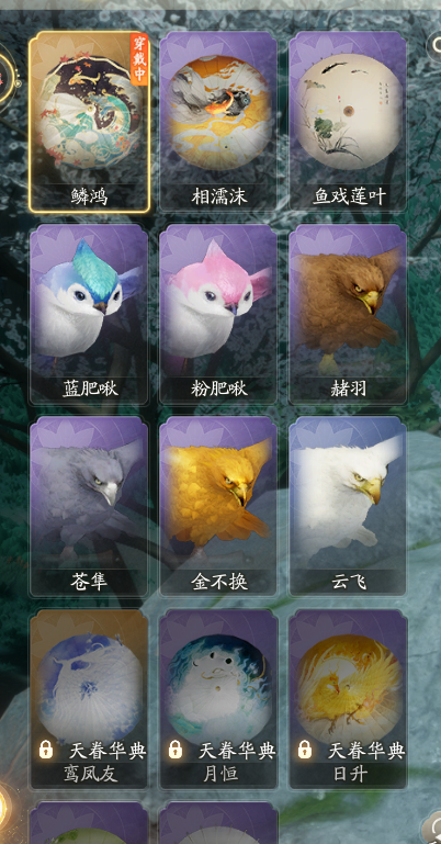 SD22170射雕账号详情图16 SD22170射雕账号详情图16