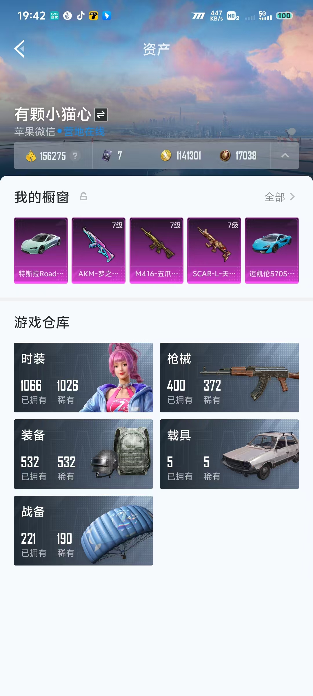 HP2134986和平精英账号详情图13