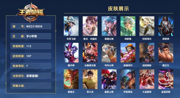 王者荣耀账号苹果QQ手Q苹果 113英雄 107皮肤 贵族等级7  无双飞将 乘龙·问璇玑 落雪白狼 鸣野蒿 炽阳神光 阴阳师 魔术师 水晶猎龙者 乓乓大师 海滩派对 迷踪丽影 霸王丸 美猴王 李小龙 皇家上将 夺...