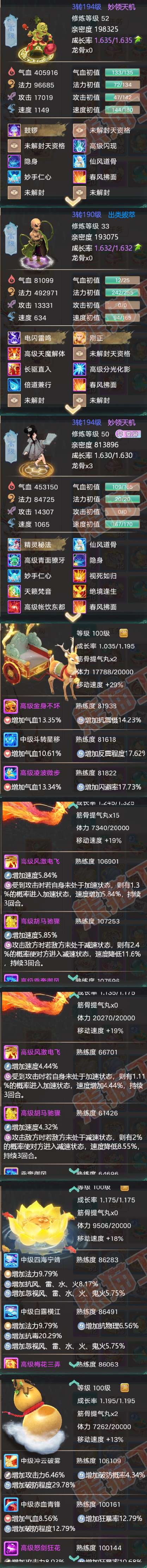 25828大话西游账号详情图11