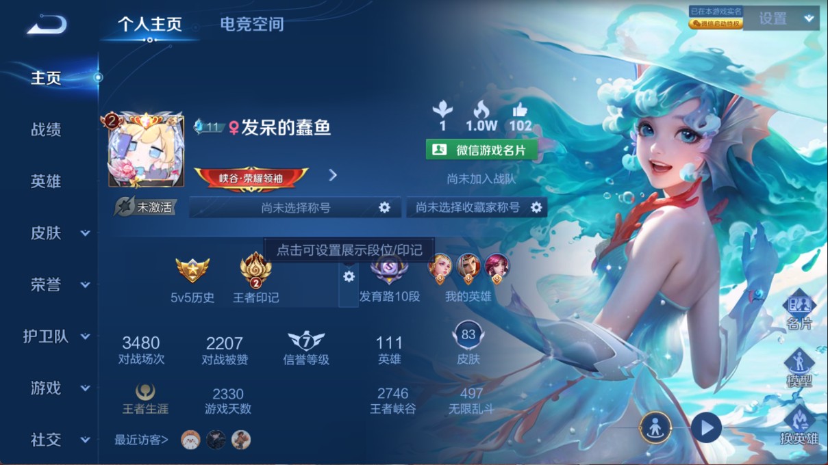 WZ347249王者荣耀账号详情图4 WZ347249王者荣耀账号详情图4
