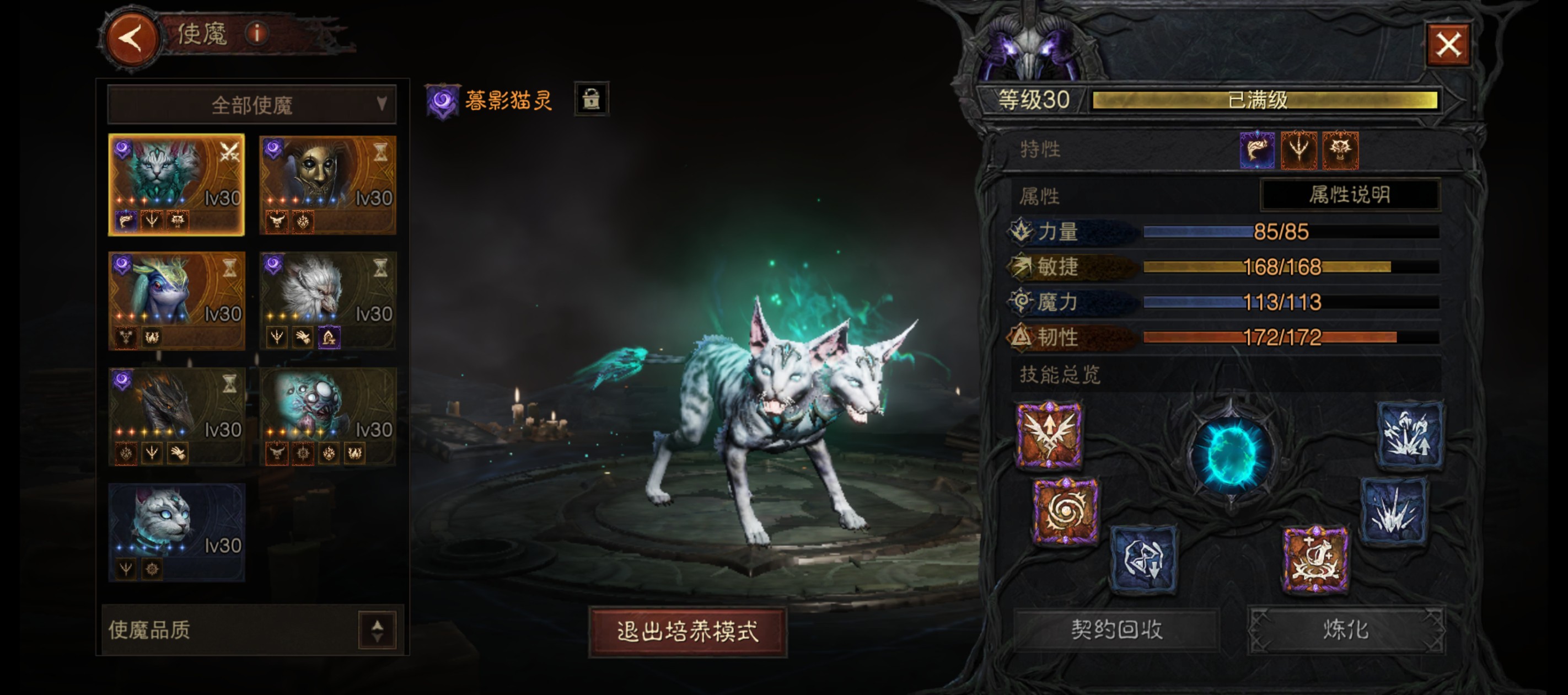 AH12060暗黑不朽账号详情图17