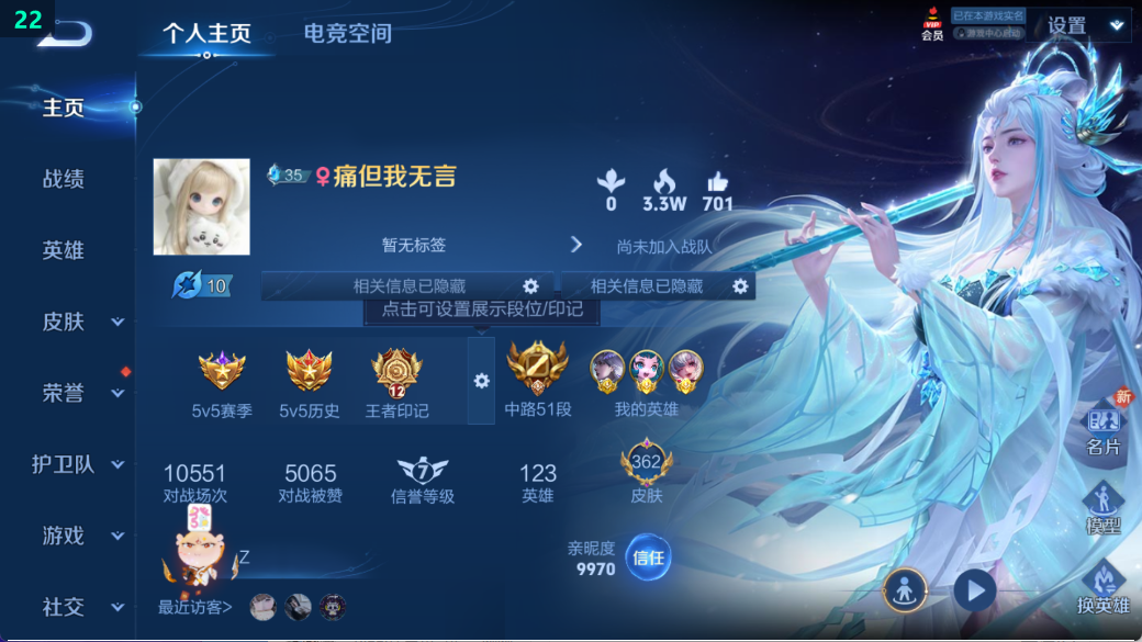 WZ397196王者荣耀账号详情图13 WZ397196王者荣耀账号详情图13