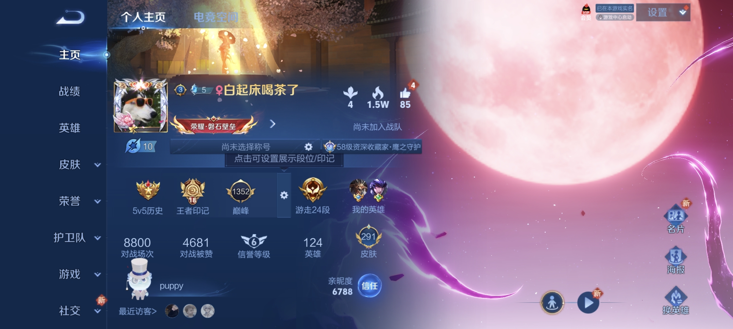 WZ398537王者荣耀账号详情图15