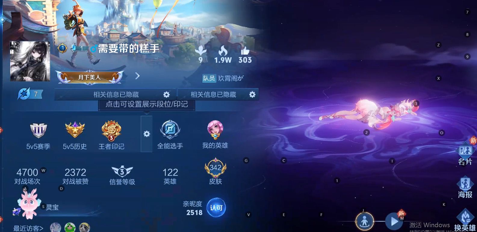 WZ397342王者荣耀账号详情图12