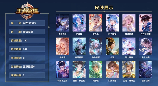 王者荣耀账号安卓VX微信安卓 122英雄 247皮肤 贵族等级8 已兑换荣耀水晶数2 天鹅之梦 幻阙歌 花合斗 时之魔女 雪境奇遇 江户川柯南 续相思 启明星使 游龙清影 补天 时之奇旅 星之鸣奏 仲夏夜之梦 愿...
