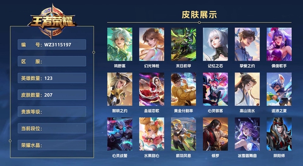 王者荣耀账号安卓QQ123英雄【金标   莱西奥】 207皮肤  鸣野蒿 幻光神枪 末日机甲 记忆之芯 挚爱之约 偶像歌手 黎明之约 圣诞恋歌 黄金分割率 心灵骇客 高山流水 逐浪之夏 心灵战警 水果甜心 箭羽风息 修罗