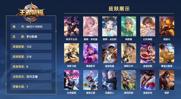 王者荣耀账号安卓QQ手Q安卓 122英雄 218皮肤 贵族等级6 已兑换荣耀水晶数1 多金标 杀手不太冷 愿照·岁时盈 愿照·众生和 鸣野蒿 幻光神枪 地狱火 冠军飞将 偶像歌手 摇滚巨星 黎明之约 圣诞恋歌