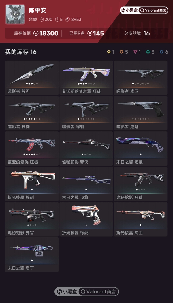 瓦罗兰特账号中国港服港服 18300vp库存 噬影套  星守AK