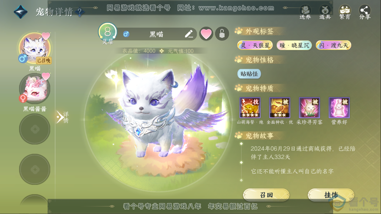 NSH313253逆水寒手游账号详情图24