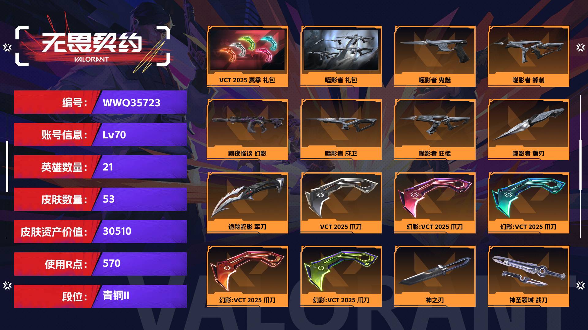 WWQ35723无畏契约账号详情图1 WWQ35723无畏契约账号详情图1