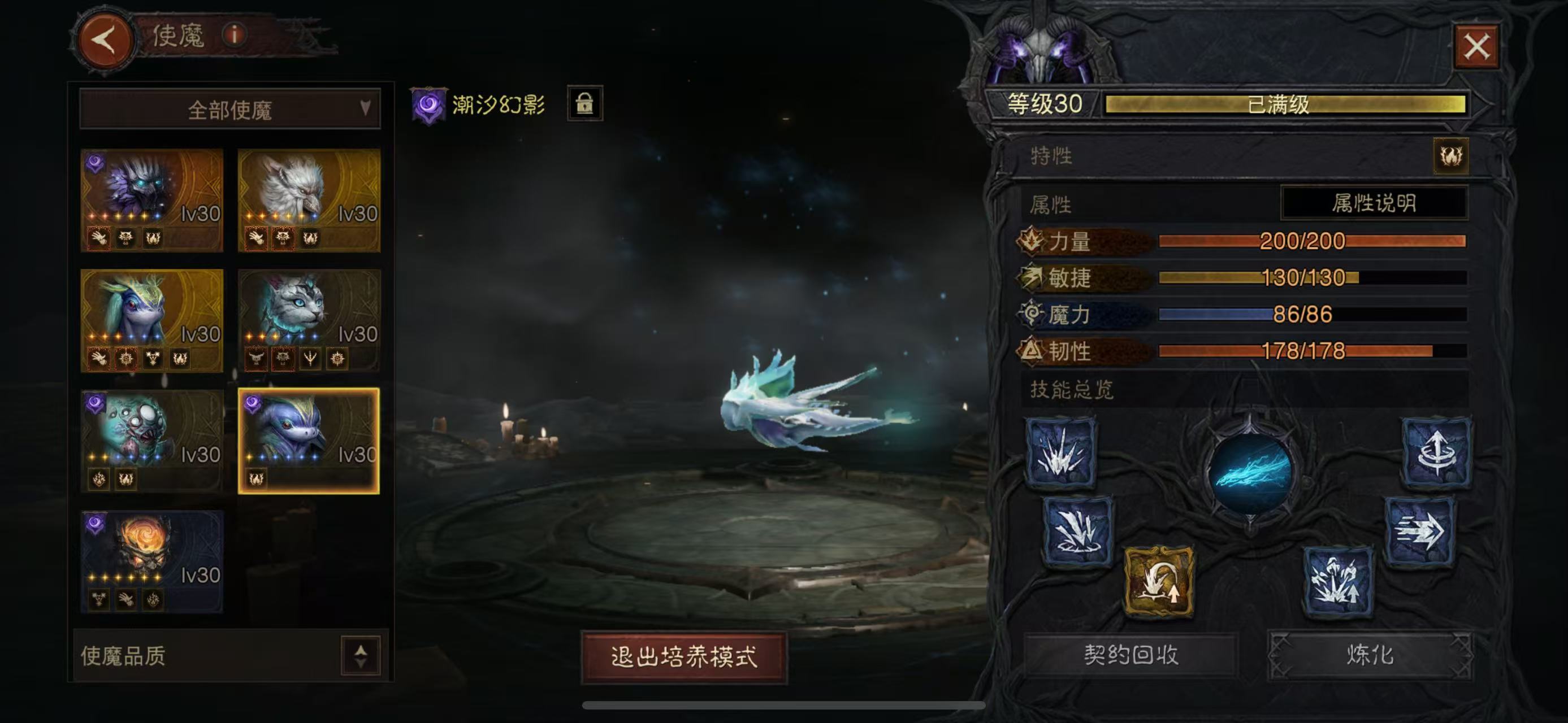 AH12120暗黑不朽账号详情图13 AH12120暗黑不朽账号详情图13