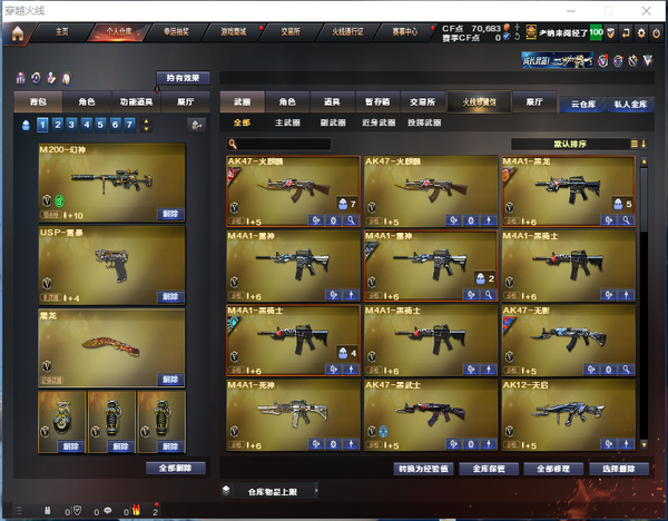穿越火线账号西部战区四川一区【Lv.102 荣耀元帅】 115V 2王者 6炫金 M200幻神+USP雷暴+6烈龙+斯太尔蝴蝶+白虎