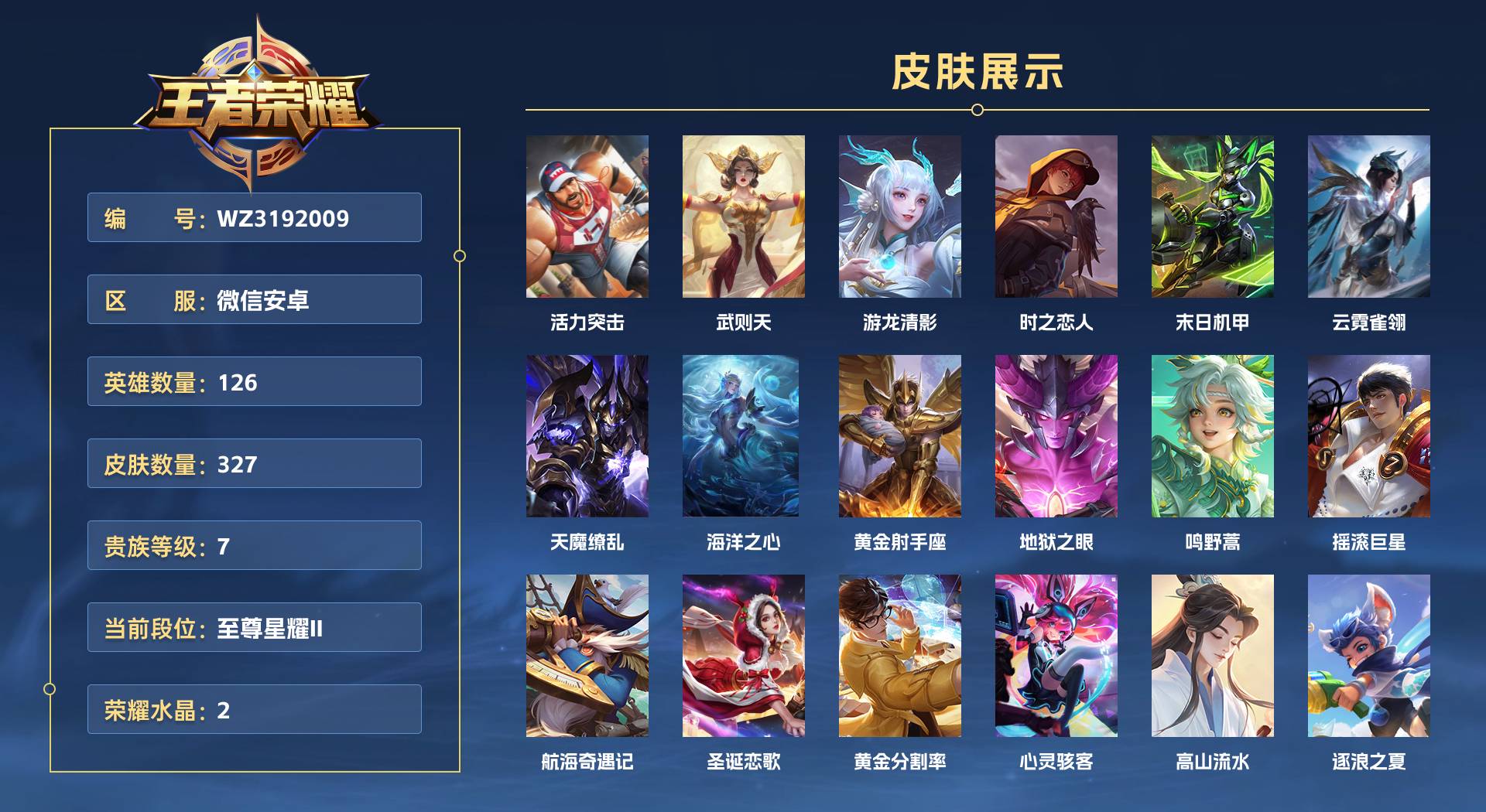 WZ3192009王者荣耀账号详情图1