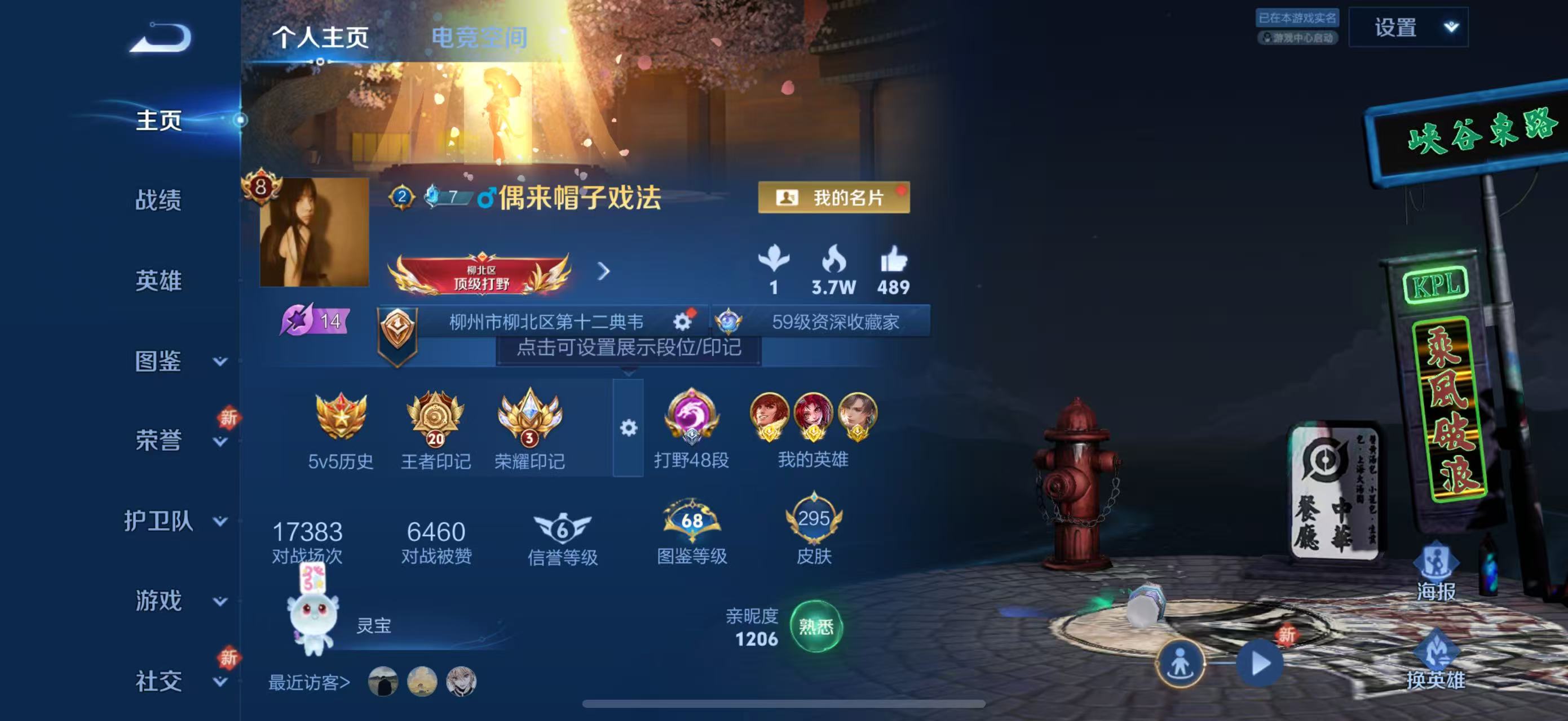 WZ3193890王者荣耀账号详情图14 WZ3193890王者荣耀账号详情图14