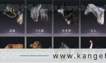 YYS31017燕云十六声账号详情图7 YYS31017燕云十六声账号详情图7