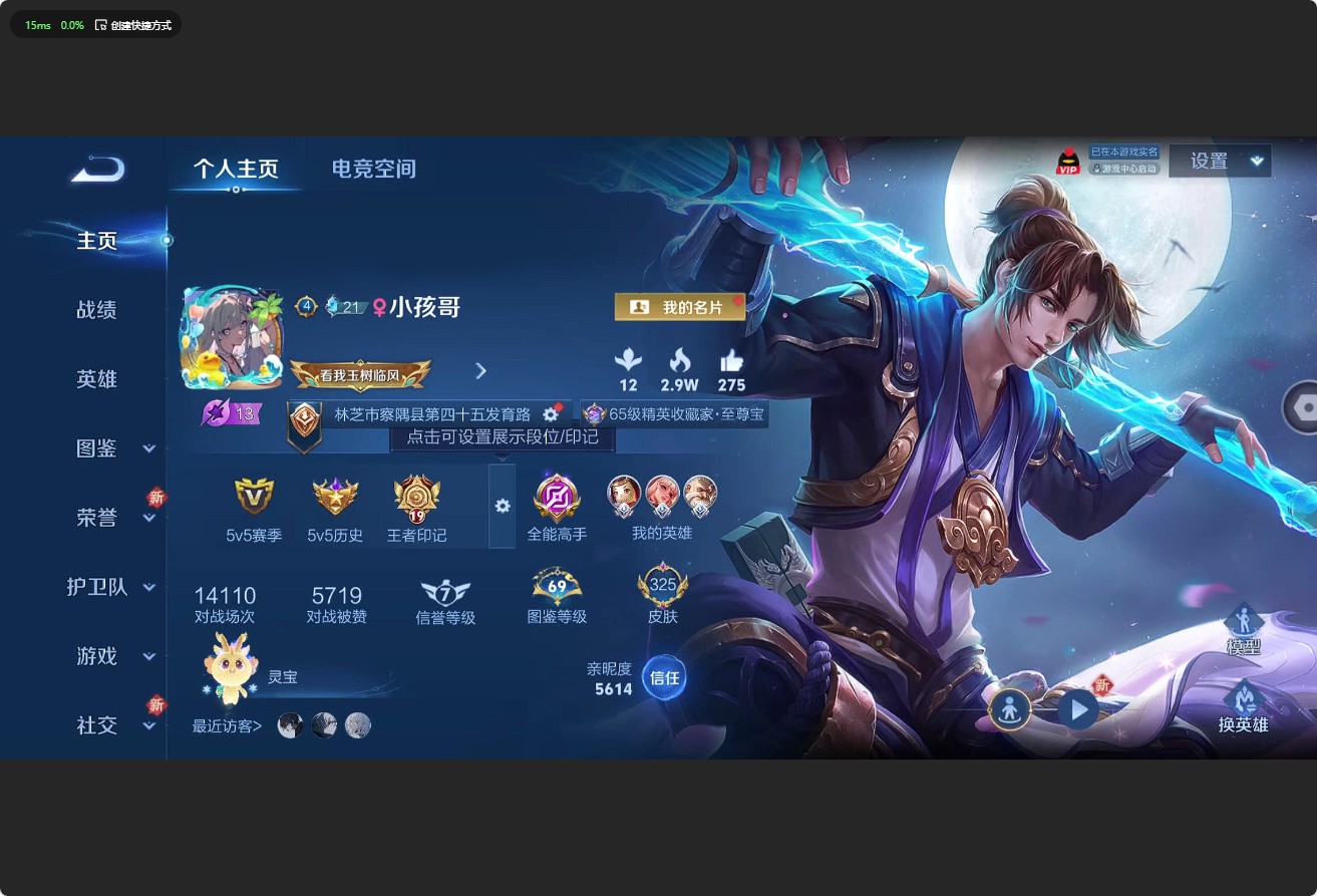 WZ3196700王者荣耀账号详情图13 WZ3196700王者荣耀账号详情图13