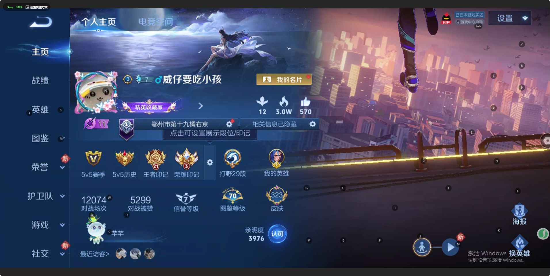 WZ3197239王者荣耀账号详情图11