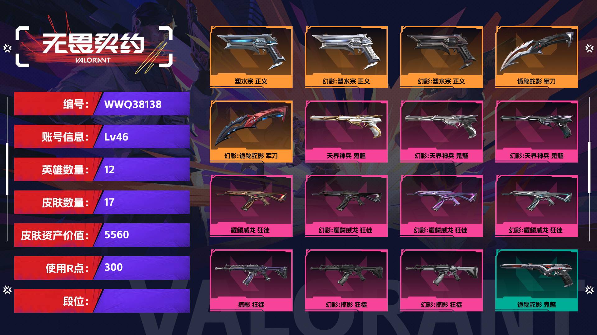 WWQ38138无畏契约账号详情图1 WWQ38138无畏契约账号详情图1
