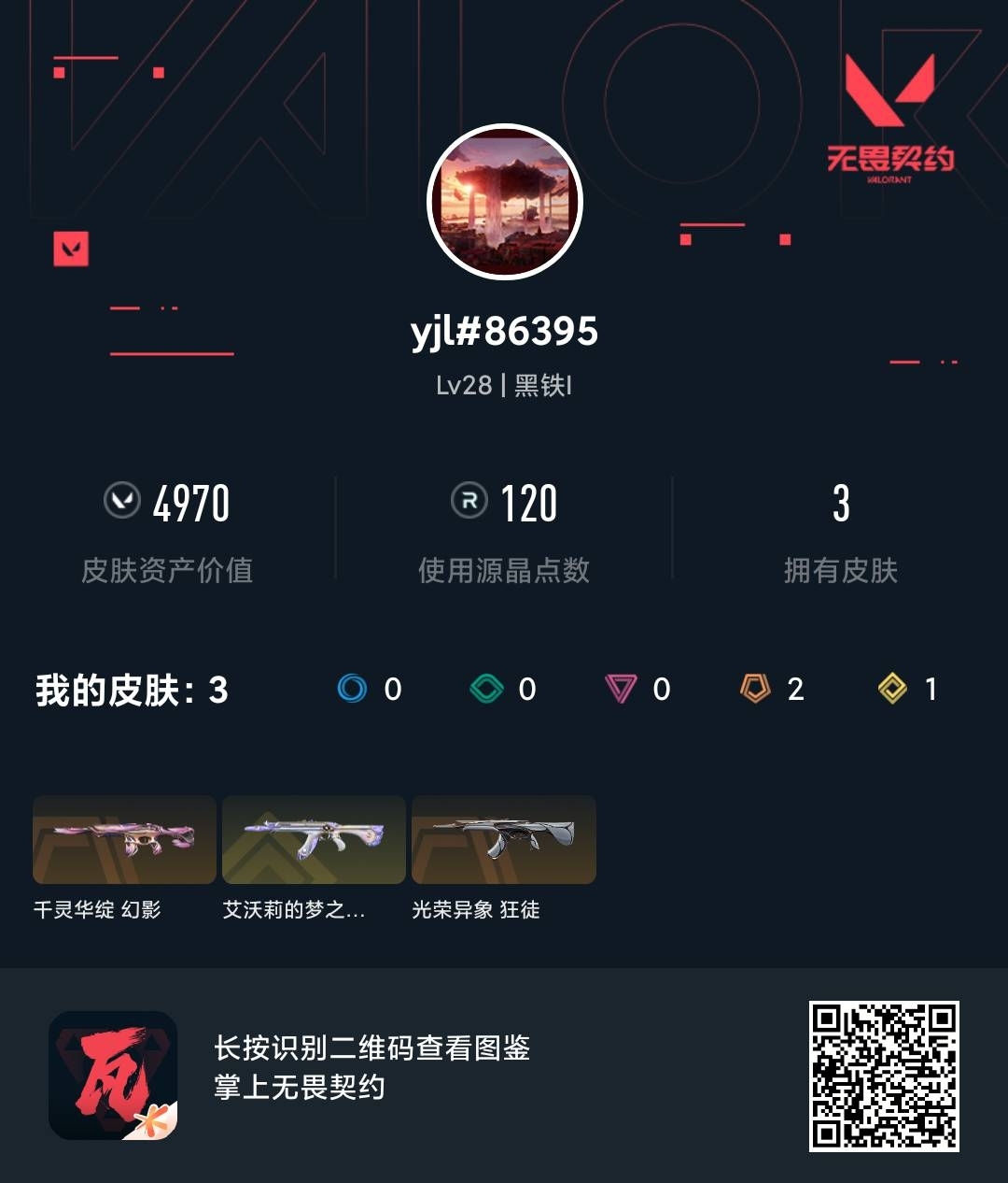 WWQ38129无畏契约账号详情图5