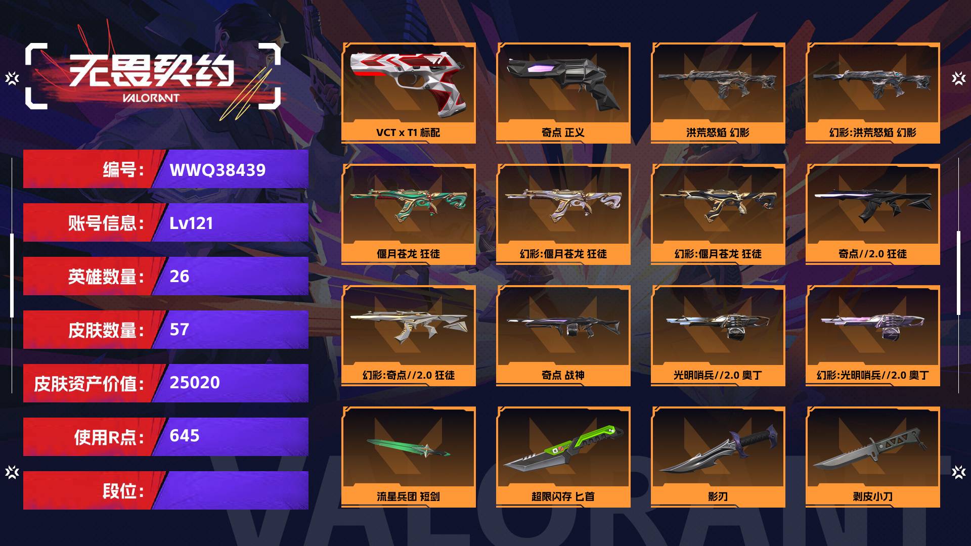 WWQ38439无畏契约账号详情图1