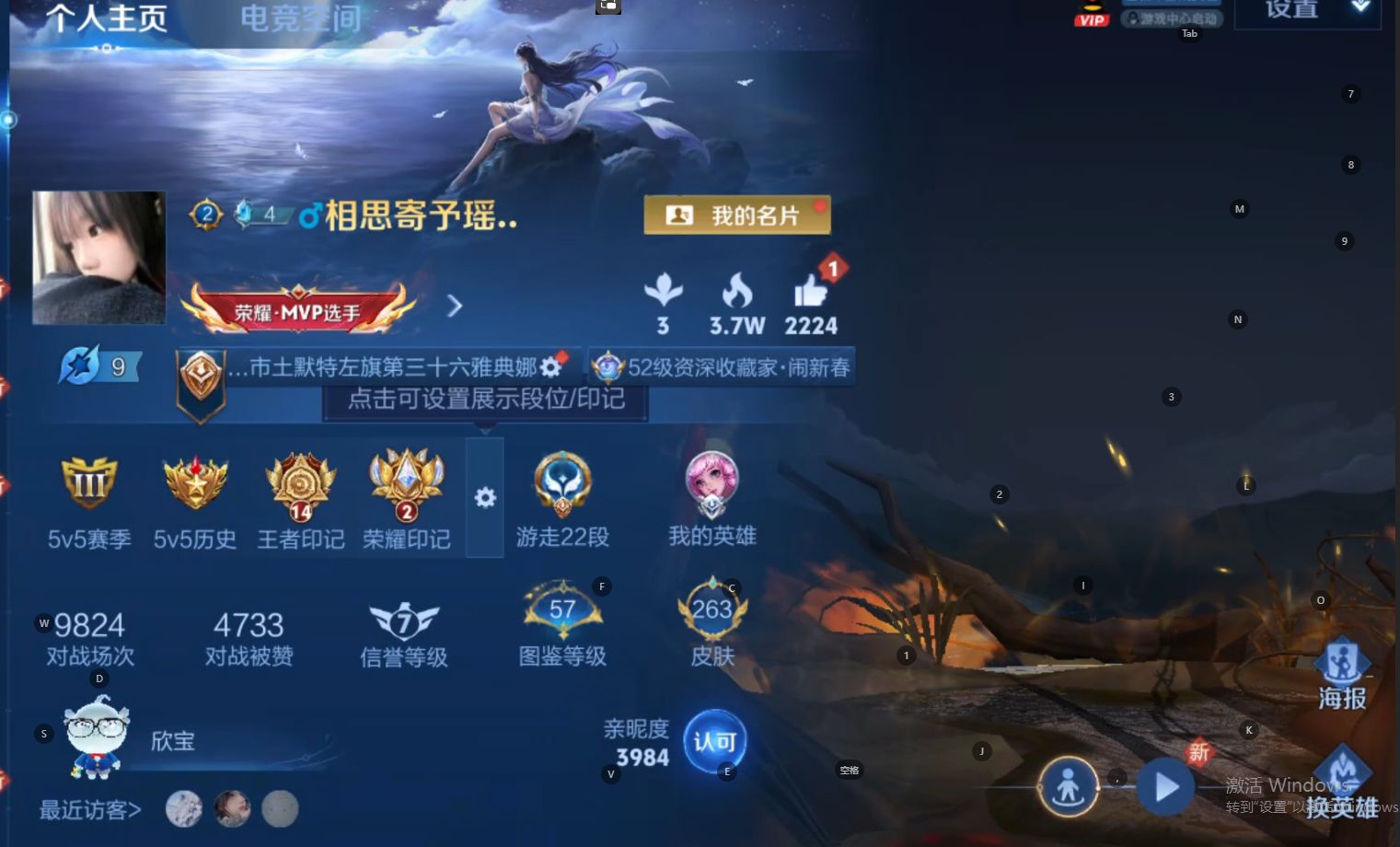 WZ3206778王者荣耀账号详情图9