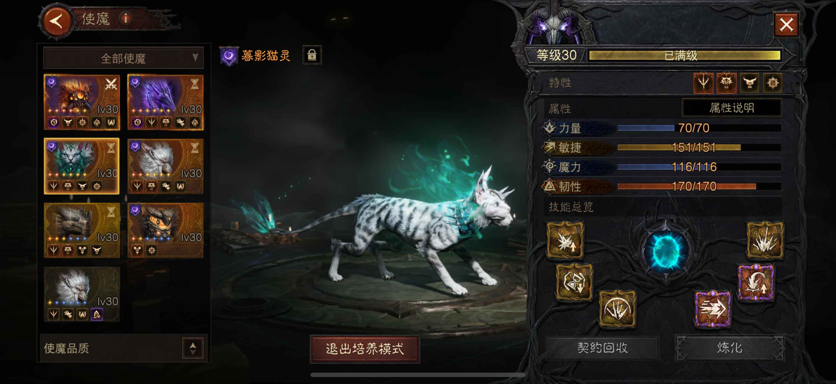 AH22798暗黑不朽账号详情图18