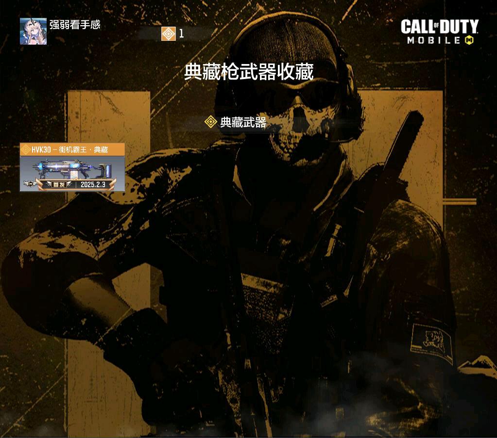 SM35631使命召唤手游账号详情图2