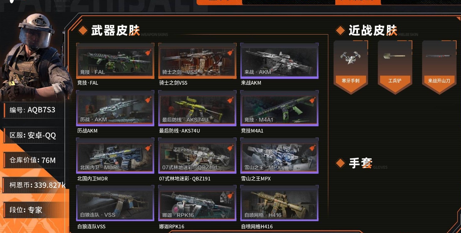 AQ34218暗区突围账号详情图1