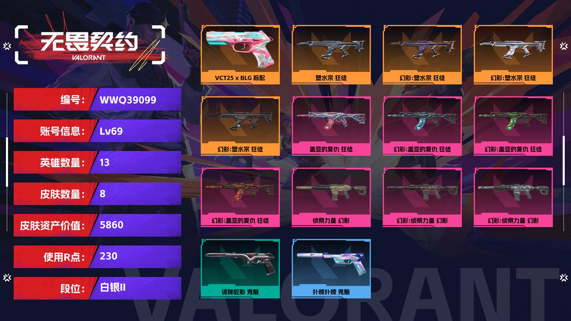 WWQ39099无畏契约账号详情图1