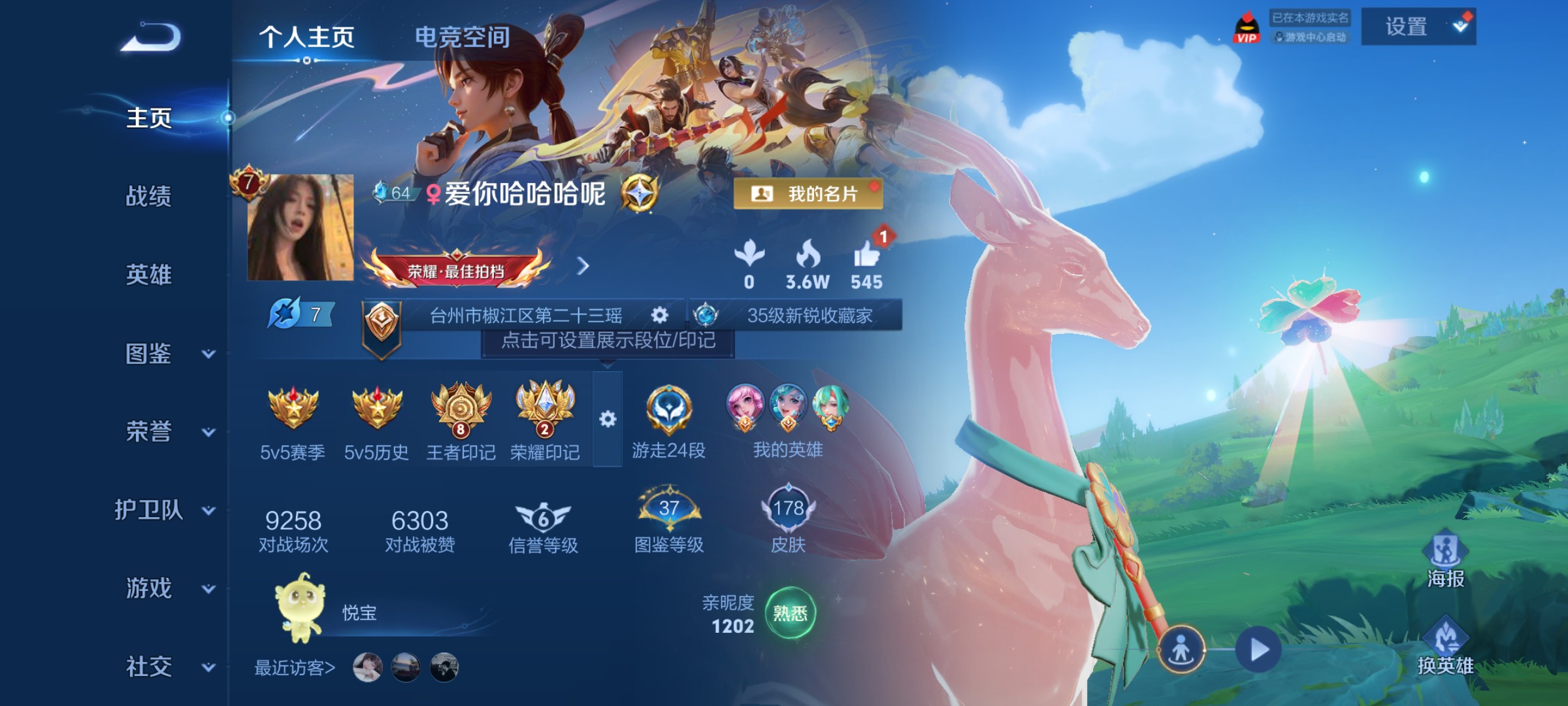 WZ3239289王者荣耀账号详情图13