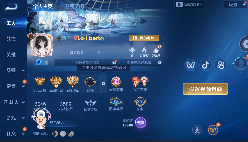 WZ3241227王者荣耀账号详情图12 WZ3241227王者荣耀账号详情图12