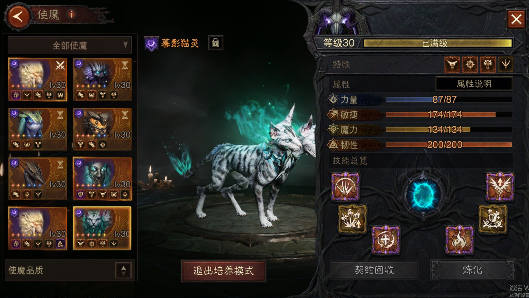 AH22824暗黑不朽账号详情图48
