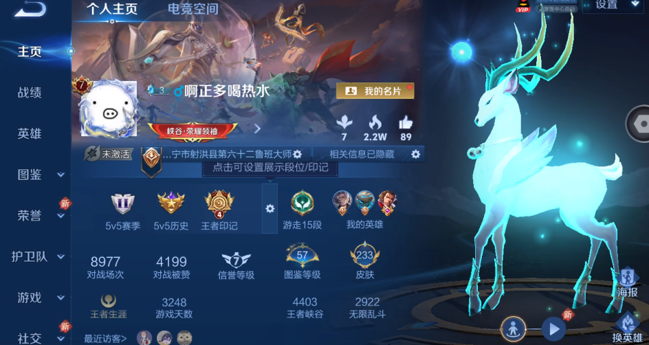 WZ3250563王者荣耀账号详情图9