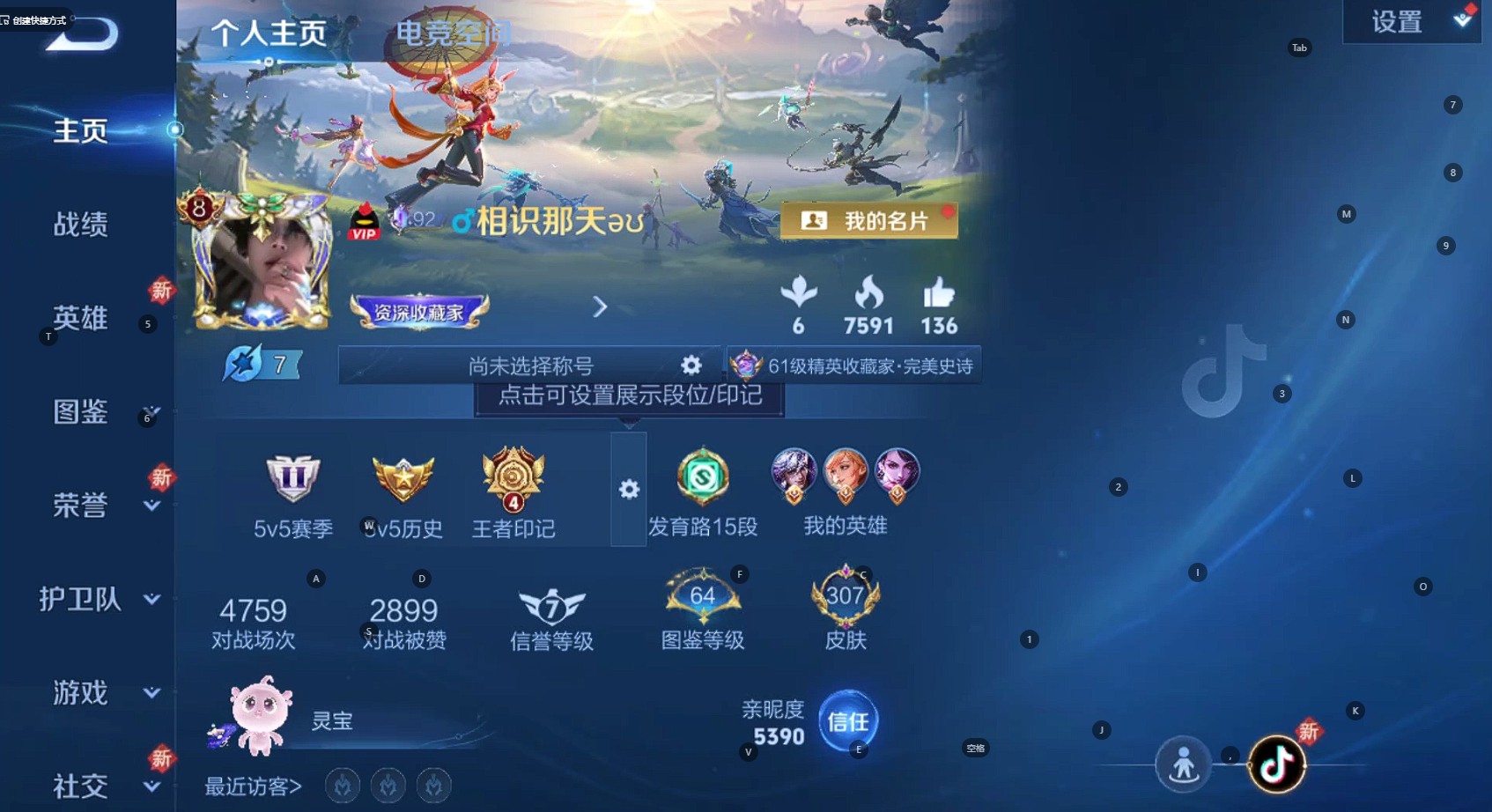 WZ3253889王者荣耀账号详情图12 WZ3253889王者荣耀账号详情图12