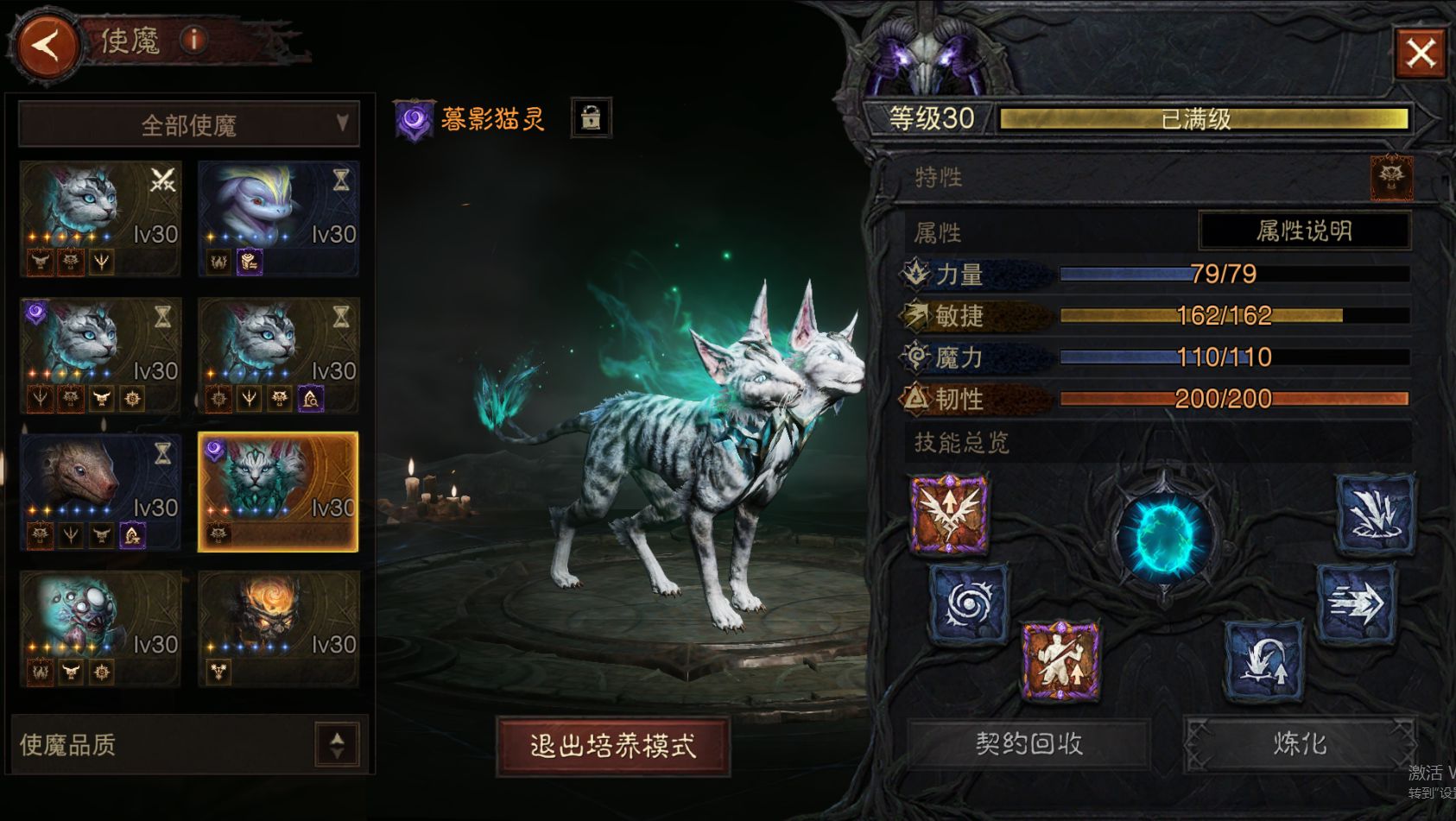AH22853暗黑不朽账号详情图30