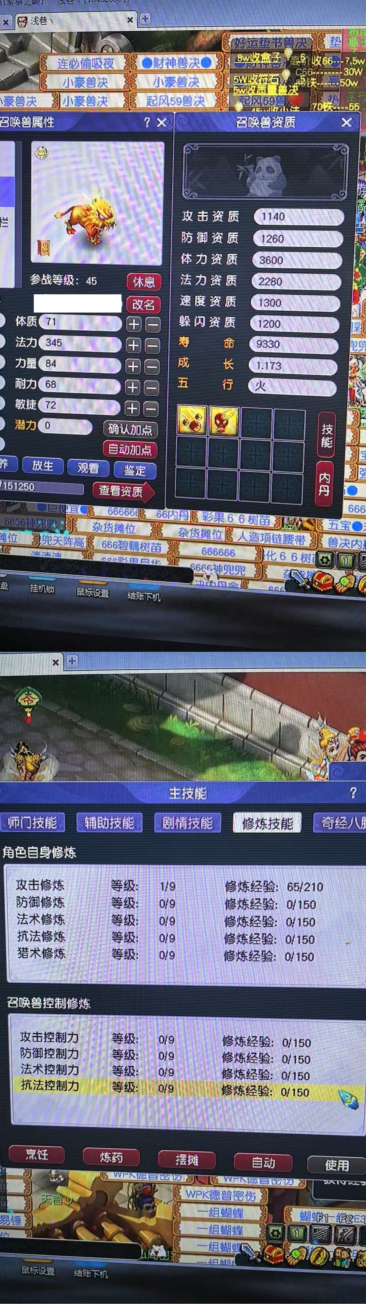 CWF00128梦幻西游畅玩服账号详情图1