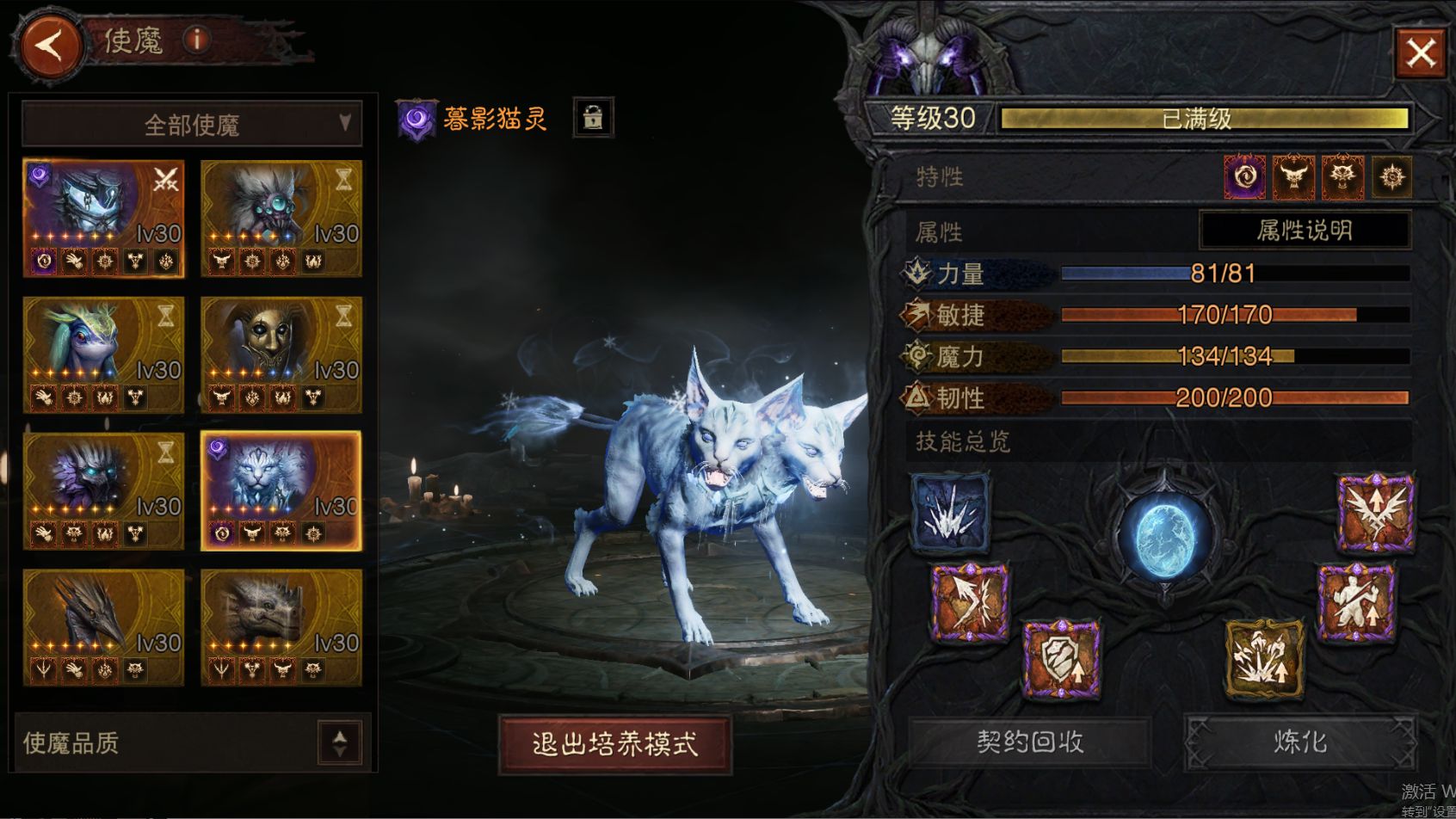 AH61823暗黑不朽账号详情图51