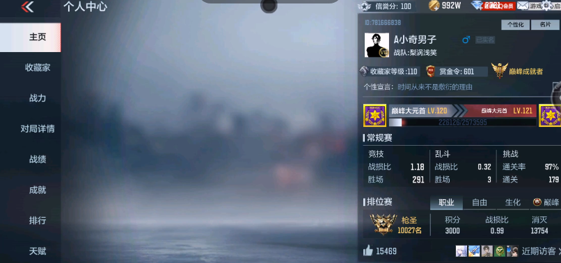 CFM347645枪战王者账号详情图1