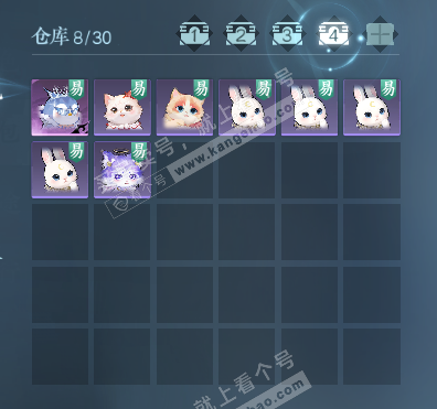 NSH323312逆水寒手游账号详情图5 NSH323312逆水寒手游账号详情图5