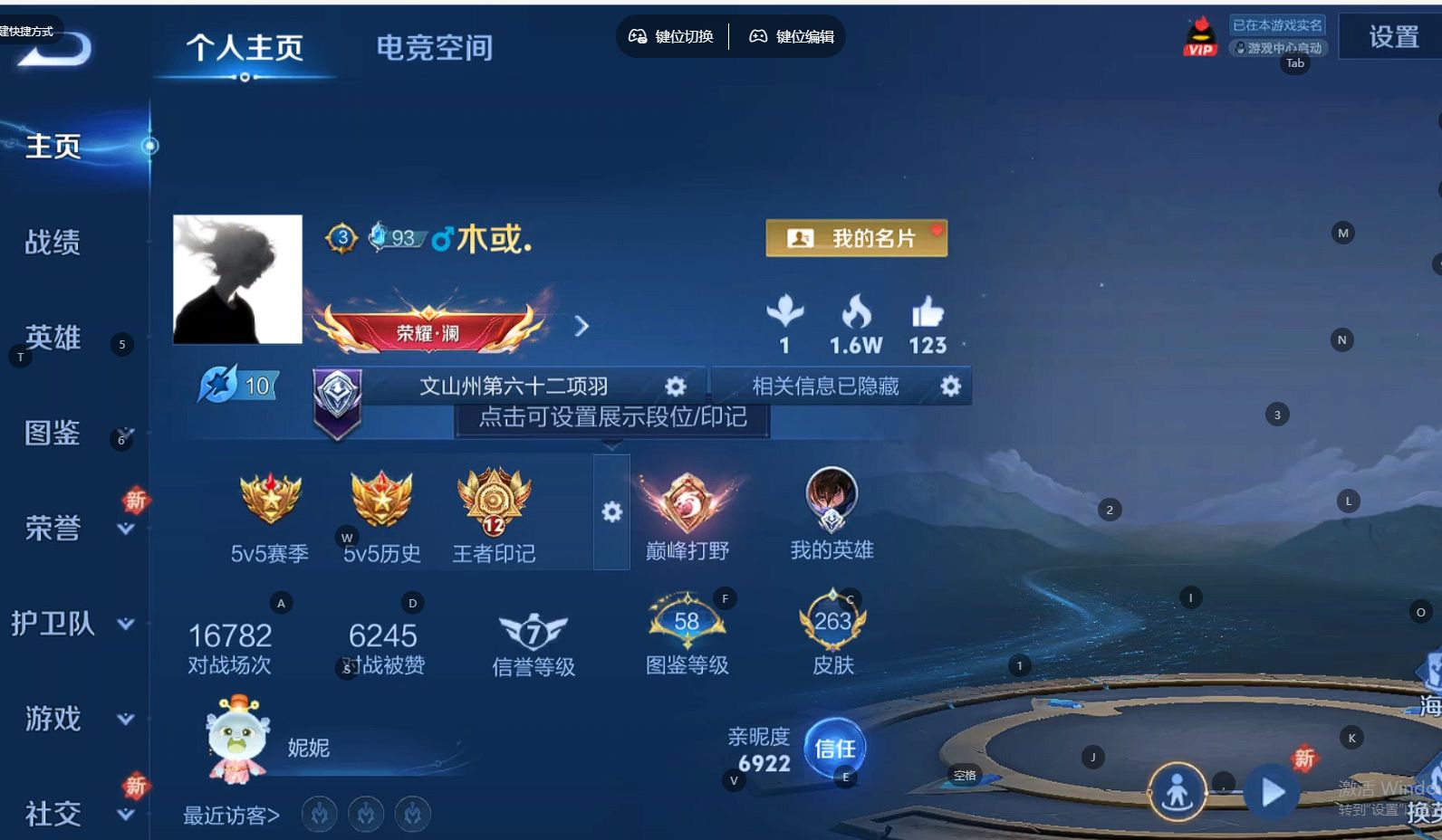 WZ3286468王者荣耀账号详情图10 WZ3286468王者荣耀账号详情图10