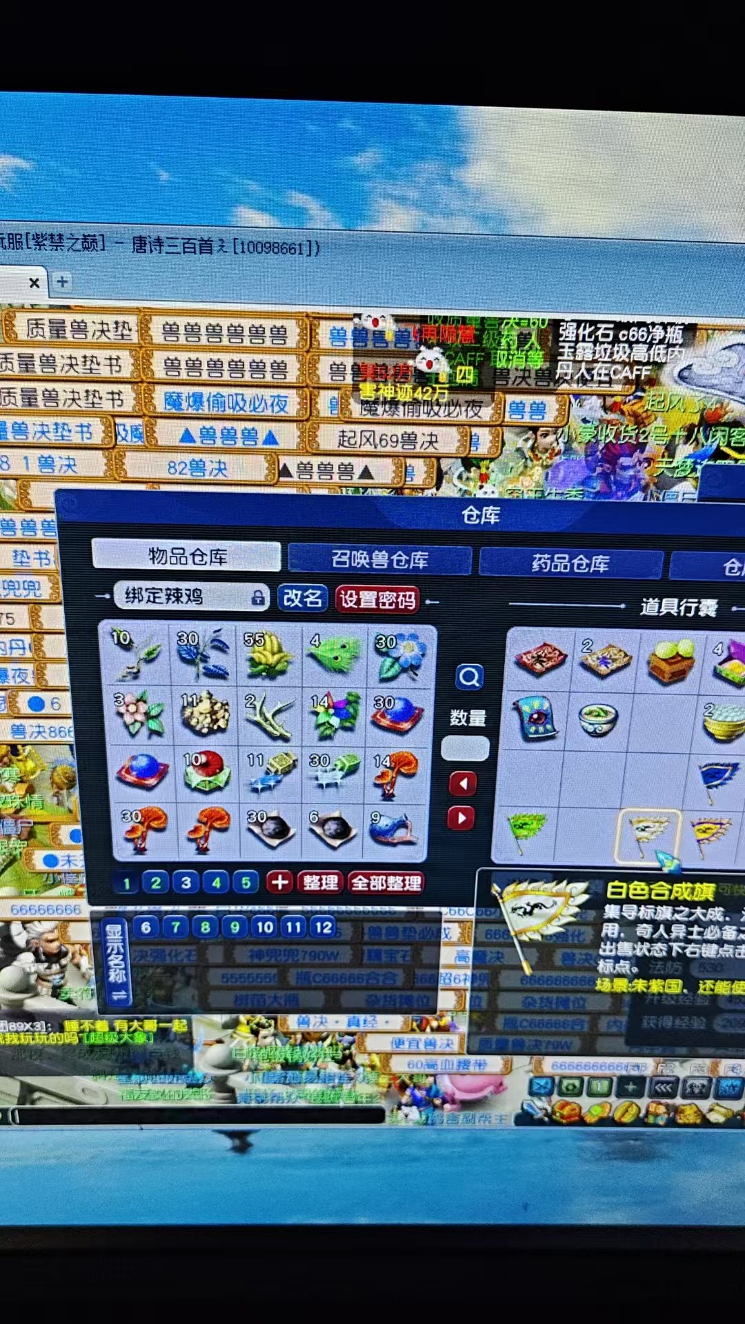 CWF30371梦幻西游畅玩服账号详情图3