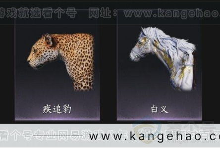 YYS33922燕云十六声账号详情图8